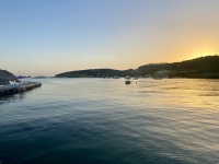 IMG_8659