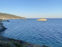 IMG_8742
