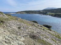 IMG_5807