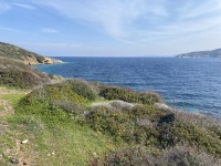 IMG_5815