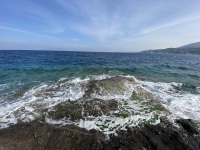 IMG_5822