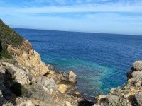 71cb9b9d-3f99-42ad-8324-c17de2dce72a