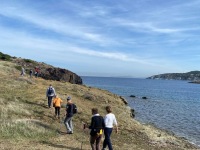 8a7191d2-cf25-4c78-a9c4-8c0ae1b92c00