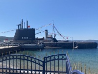 IMG_7391