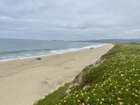 IMG_8395