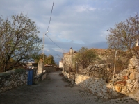DSC07836