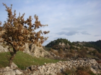 DSC07838