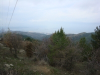 DSC07845