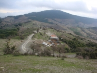 DSC07846