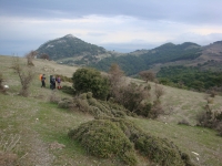 DSC07847