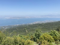 IMG_9253