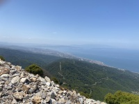 IMG_9254