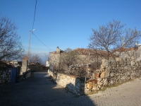 DSC09731