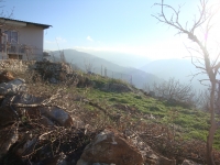 DSC09732