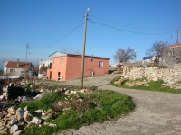 DSC09733