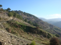 DSC09738