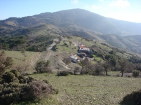 DSC09753