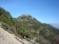 DSC09776