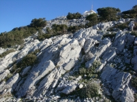 DSC09788