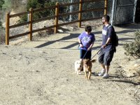 IMG_3541