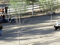 IMG_3580