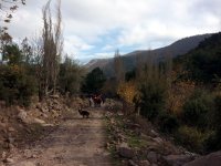 usaksuucan-104