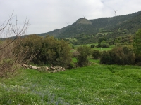 24DD5C61-67FB-4443-81AA-EE07D0F95823