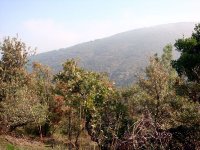 DSC05509