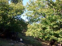 DSC05519