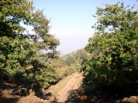 DSC05520
