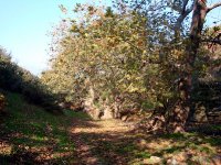 DSC05533