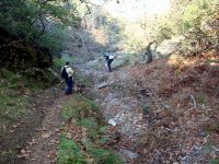 DSC05536