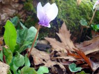 DSC00941