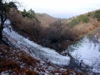 DSC00950