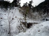 DSC03662