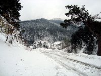 DSC03665