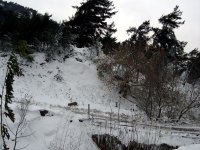 DSC03666