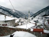 DSC03676