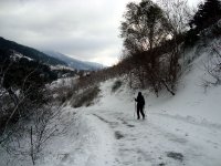 DSC03677
