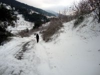 DSC03678