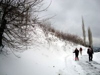 DSC03679