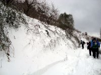 DSC03681