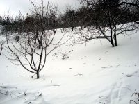 DSC03682