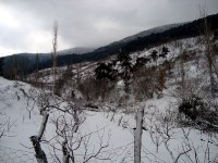 DSC03684
