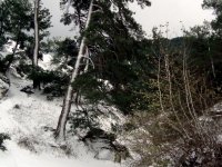 DSC03686