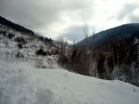 DSC03688