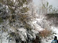 DSC03690