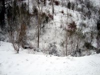DSC03691