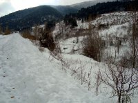 DSC03692