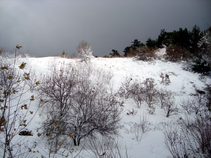 DSC03700